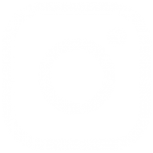 ícone instagram